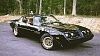 The Bandit Trans Ams were the cars to own in 1979!!!