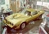 Gold Special Edition Trans Am