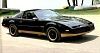 Black and Gold Trans Am