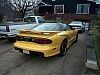 Collector's Edition Trans Am (80253 bytes)